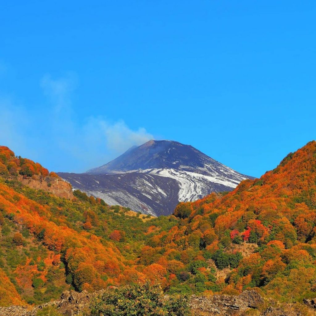 Autumn (September - November)