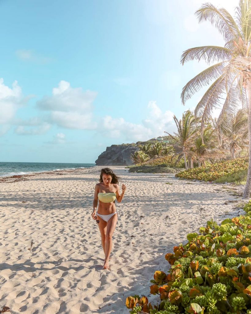 The Bounty of Beaches in Barbados