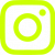 logo_instagram_green